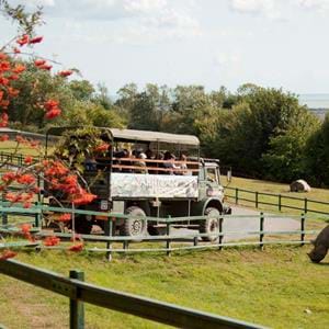 Get close to wildlife on safari at Port Lympne Hotel & Reserve in Kent