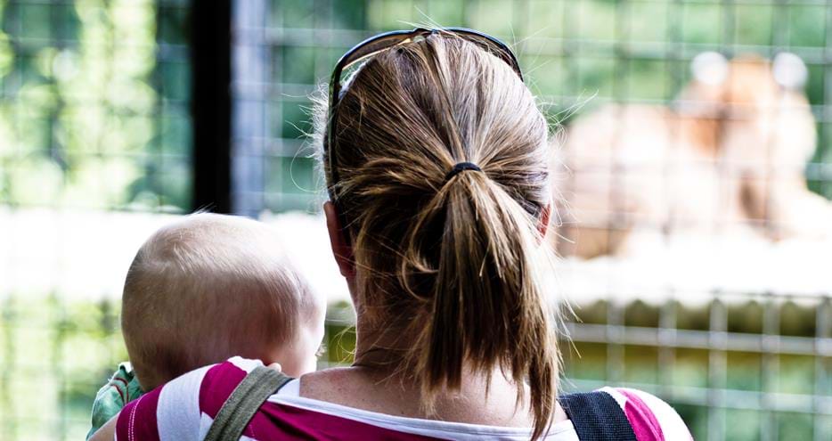 See animals up close at Port Lympne Hotel & Reserve in Kent, UK