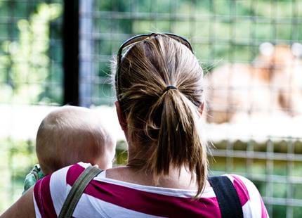 See animals up close at Port Lympne Hotel & Reserve in Kent, UK