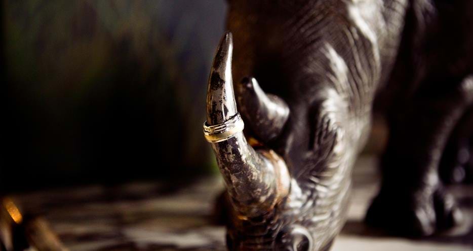 Displaying the wedding rings on a rhino bronze at Port Lympne Hotel in Kent