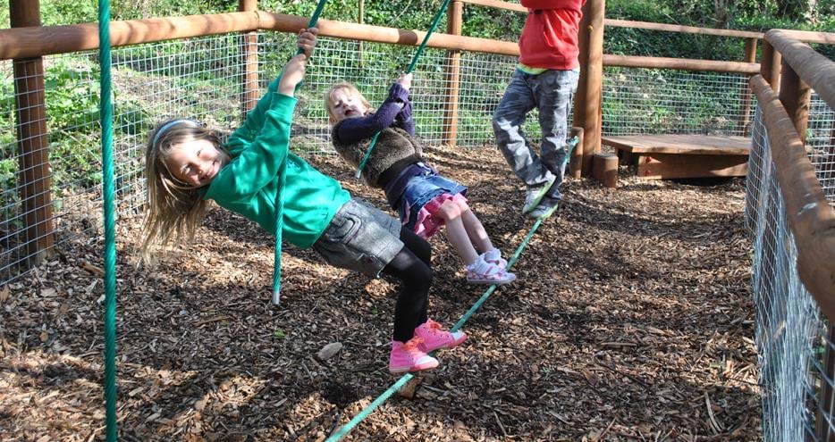 Animal Adventure Challenge at Howletts Wild Animal Park in Kent
