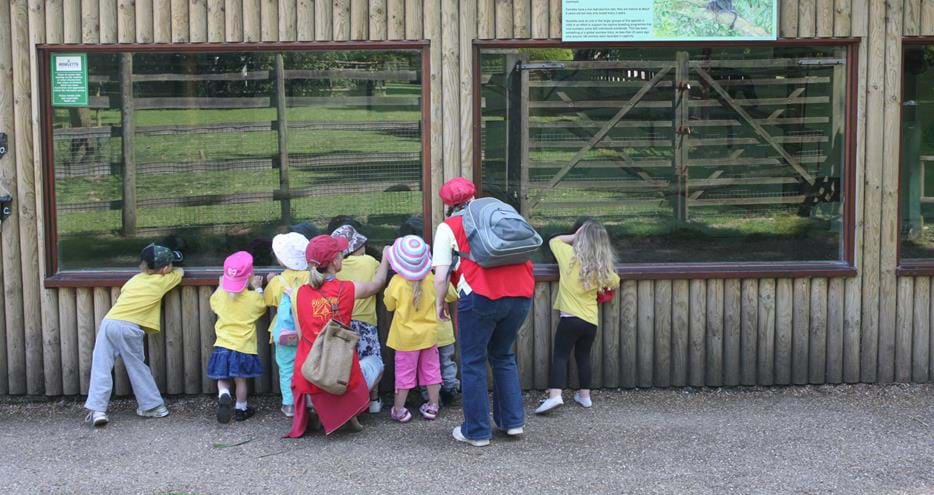 Nursery Group Visit at Howletts Wild Animal Park in Kent