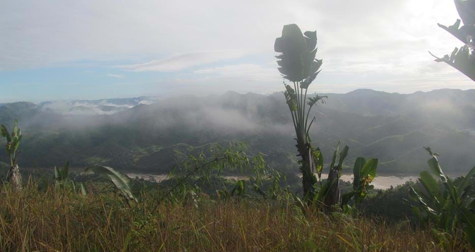 Natural habitat at The Aspinall Foundation's Madagascar primate project