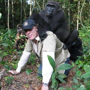 Damian Aspinall reunited with gorilla Kwibi and family after his release into the wild by The Aspinall Foundation 