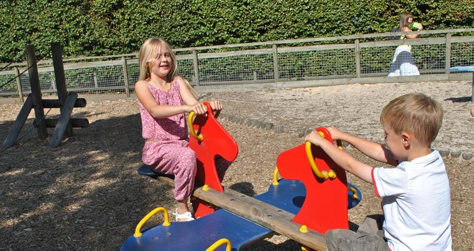 Playtime at Howletts Wild Animal Park in Kent