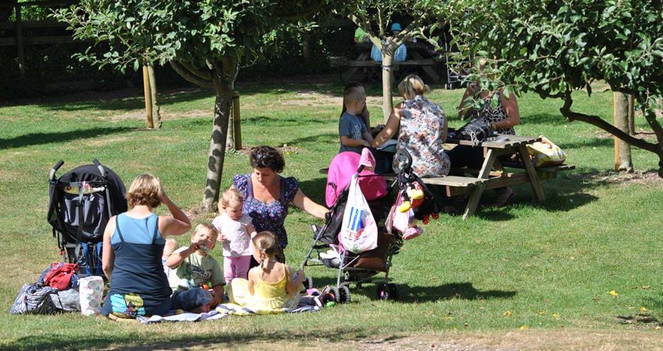 Enjoying a picnic at Howletts Wild Animal Park in Kent