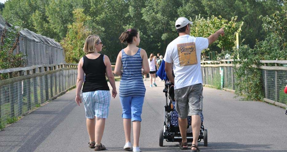 Spotting wildlife at Howletts Wild Animal Park in Kent