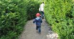 The Maze at Port Lympne Reserve