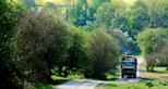 The African Experience Safari at Port Lympne Reserve, Kent