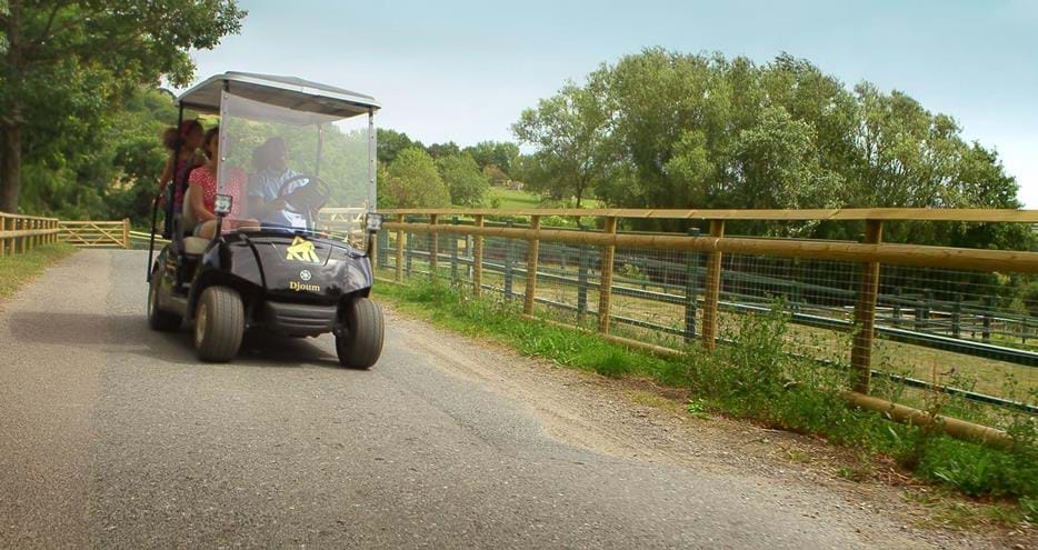 Your short break at Port Lympne Hotel & Reserve in Kent can include the use of your own personal golf buggy.