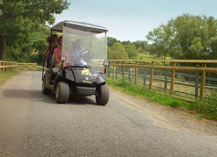 Your short break at Port Lympne Hotel & Reserve in Kent can include the use of your own personal golf buggy.