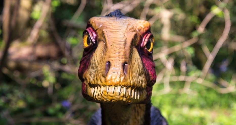 Enjoy Days out in Kent at Dinosaur Forest, Port Lympne Hotel & Reserve