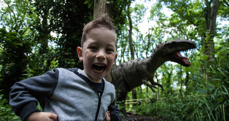 Days out in Kent at Dinosaur Forest, Port Lympne Hotel & Reserve