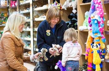Retail Team Leader PL & HL 2025