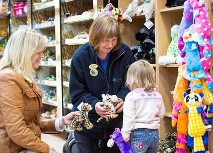 Choosing souvenirs at the gift shop at Howletts Wild Animal Park in Kent
