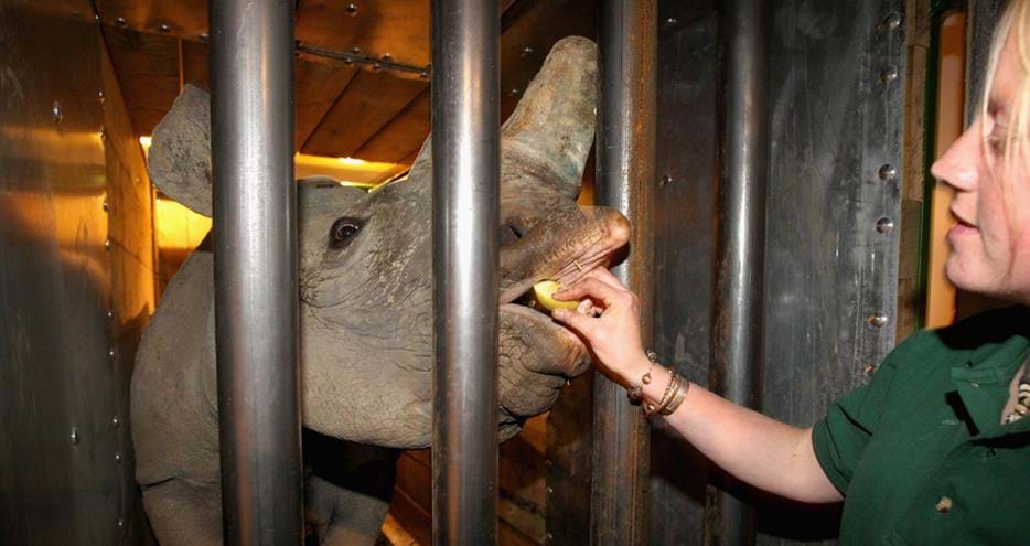 Keeper Claire serves the in-flight meal at 35,000ft