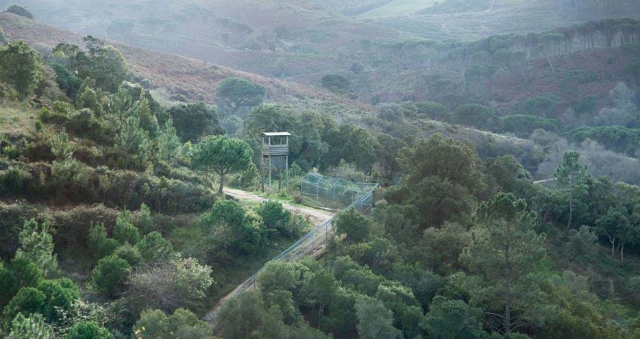 Grupo Lobo, Portugal where Iberian wolves from The Aspinall Foundation were released back to the wild
