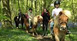 Pony day