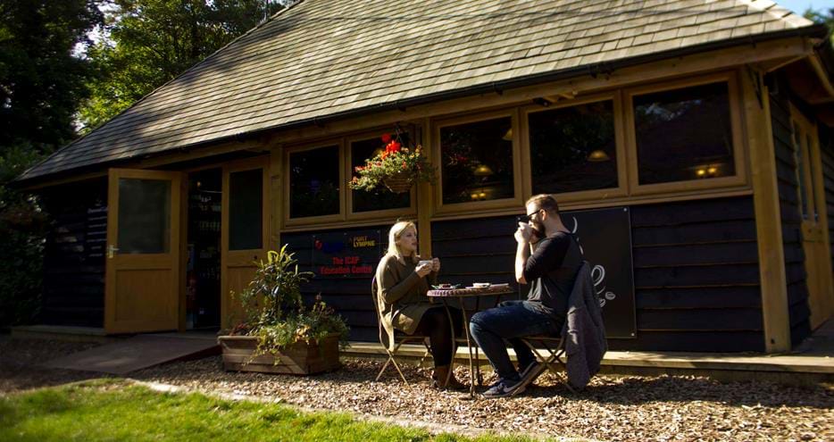 Pinewood Cafe at Port Lympne Hotel & Reserve in Kent