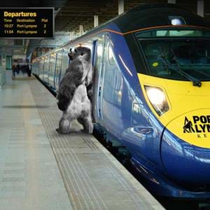 Ambam the gorilla to be trained as a train conductor
