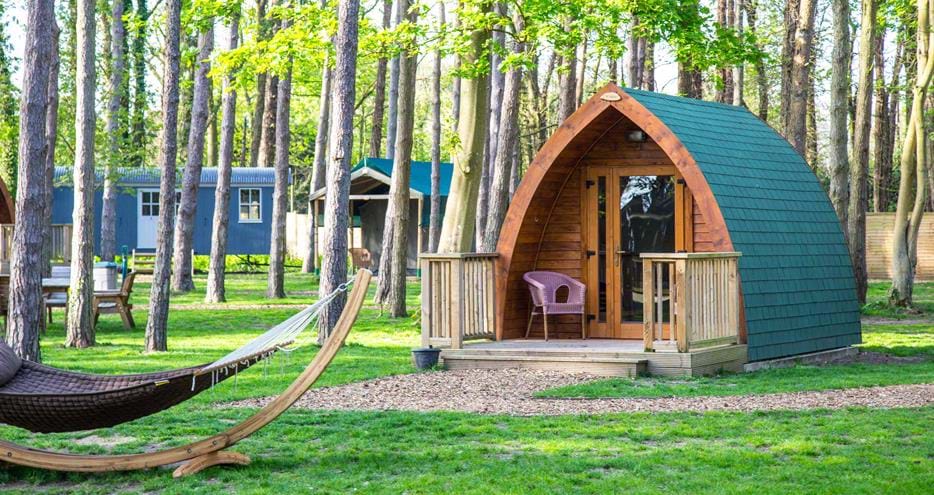 Pinewood camping pods at Port Lympne Reserve in Kent