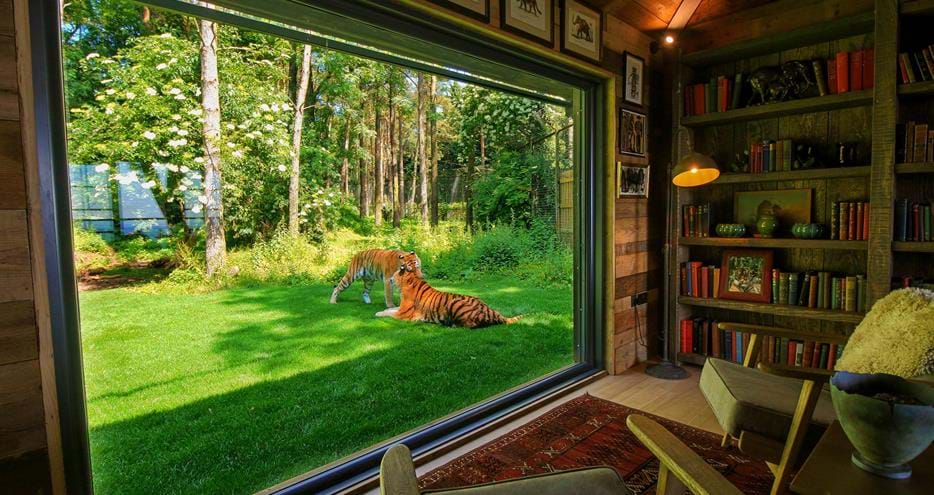 Tiger Lodge, luxury short break in Kent at Port Lympne Hotel & Reserve