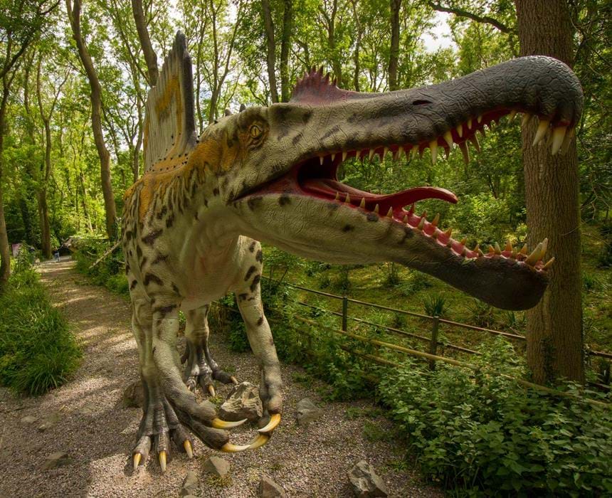 see-the-spine-tinging-spinosaurus-in-dinosaur-forest-at-port-lympne-reserve-c-port-lympne-reserve_small.jpg?center=0.38285714285714284,0.55681818181818177&mode=crop&quality=75&width=860&height=700&rnd=132024049190000000