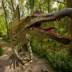 The life-size and anatomically correct Spinosaurus at Port Lympne Reserve in Kent