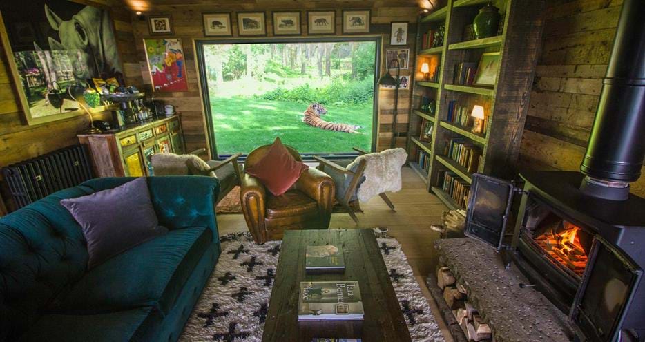 Step inside a tiger's world at Tiger Lodge at Port Lympne Hotel & Reserve in Kent
