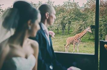Temporary Wedding & Events Coordinator