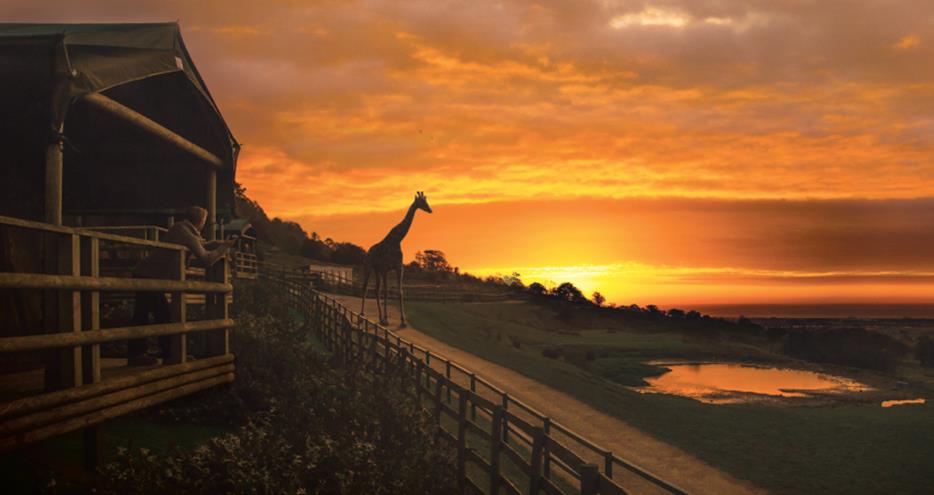 Giraffe Lodge, short break in Kent at Port Lympne Hotel and Reserve