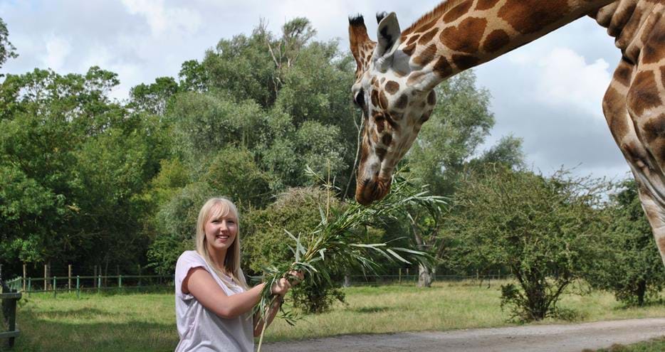 Giraffe encounter at Port Lympne Hotel & Reserve in Kent