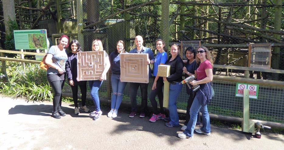 Team building activity making puzzle feeders for primates at Port Lympne Hotel & Reserve in Kent