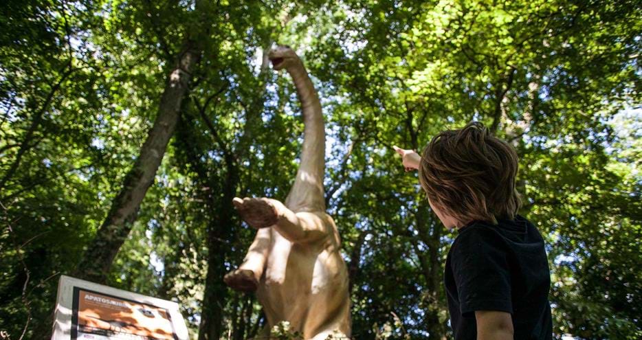 Apatosaurus at Dinosaur Forest, Port Lympne Hotel & Reserve in Kent