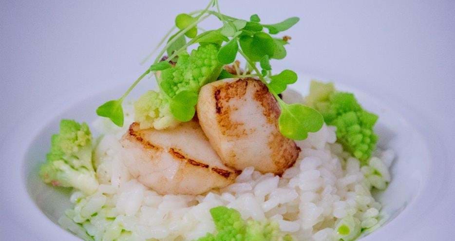 Scallops, white chocolate risotto at Port Lympne Restaurant in Kent