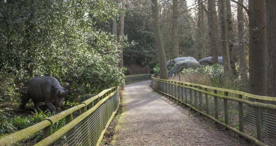 Discover Animals of the Ice Age at Howletts Wild Animal Park near Canterbury