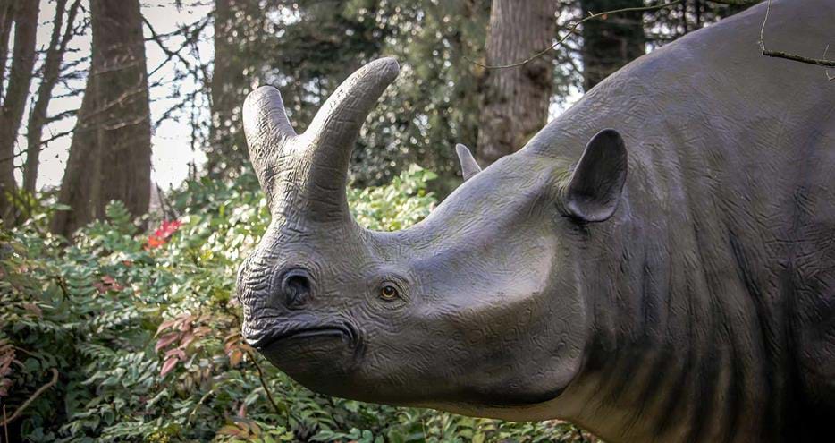 Animals of the Ice Age at Howletts Wild Animal Park in Kent