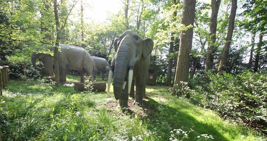 Animals of the Ice Age at Howletts Wild Animal Park in Kent