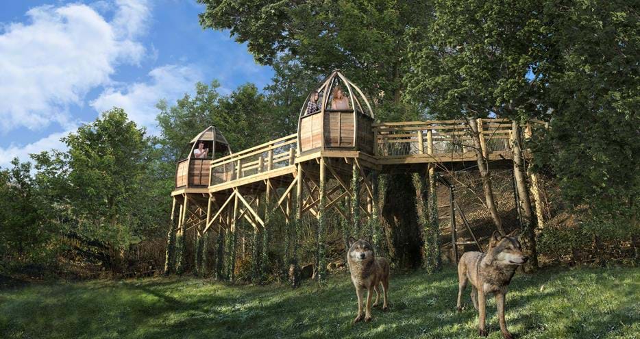 Wolf Lodge Viewing Pods - Artist impression