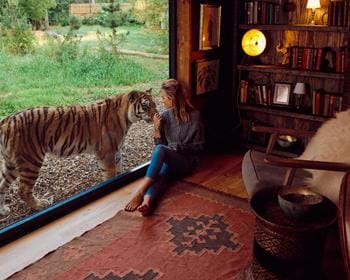 Safari Park Experience In Kent At Port Lympne Hotel Reserve The safari-park-experience-in-kent-at-port-lympne-hotel-reserve-the