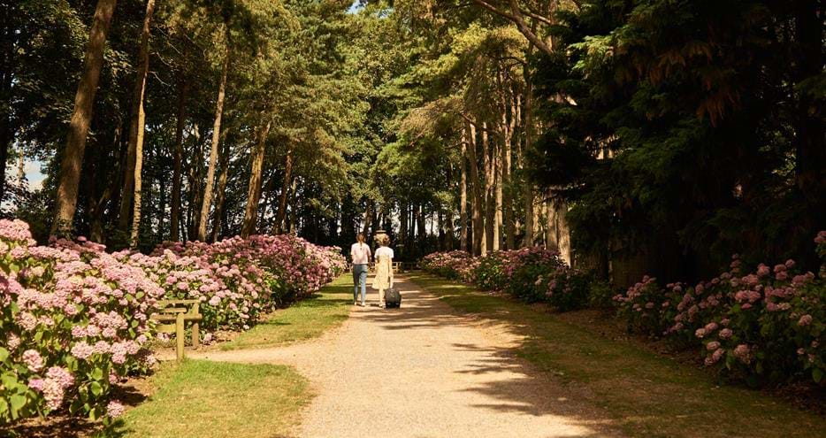 Hydrangea Walk at Port Lympne Hotel in Kent