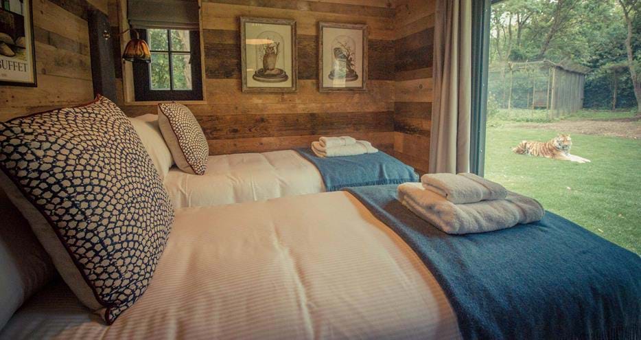 Twin Room at Tiger Lodge at Port Lympne Hotel & Reserve in Kent