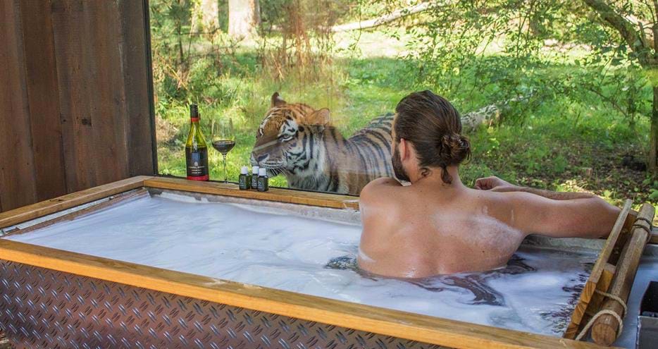 Outdoor Scandinavian bath at Tiger Lodge at Port Lympne Hotel & Reserve in Kent