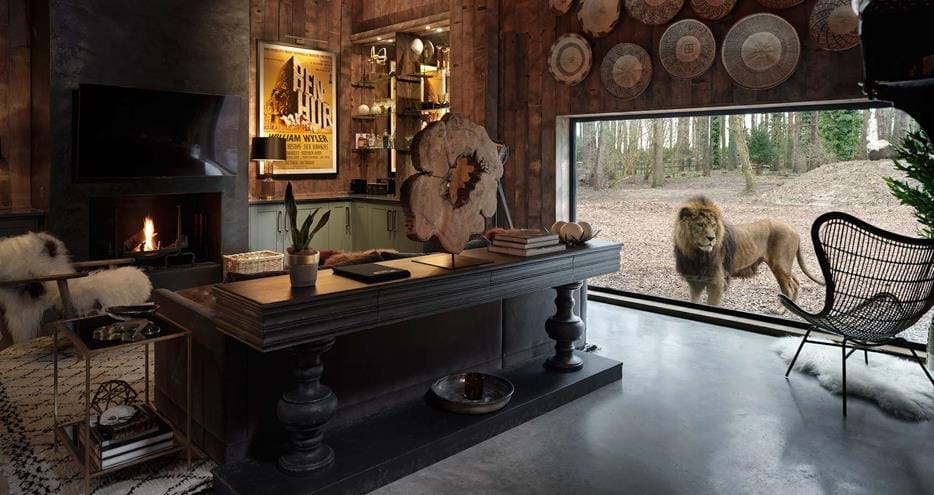 Milo the lion checks out Lion Lodge, luxury short break at Port Lympne Hotel & Reserve in Kent