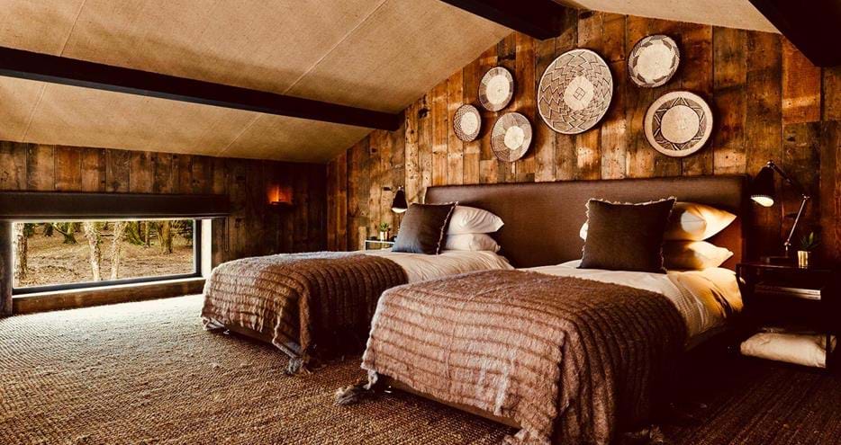 Twin room at Lion Lodge luxury overnight break at Port Lympne Hotel and Reserve in Kent
