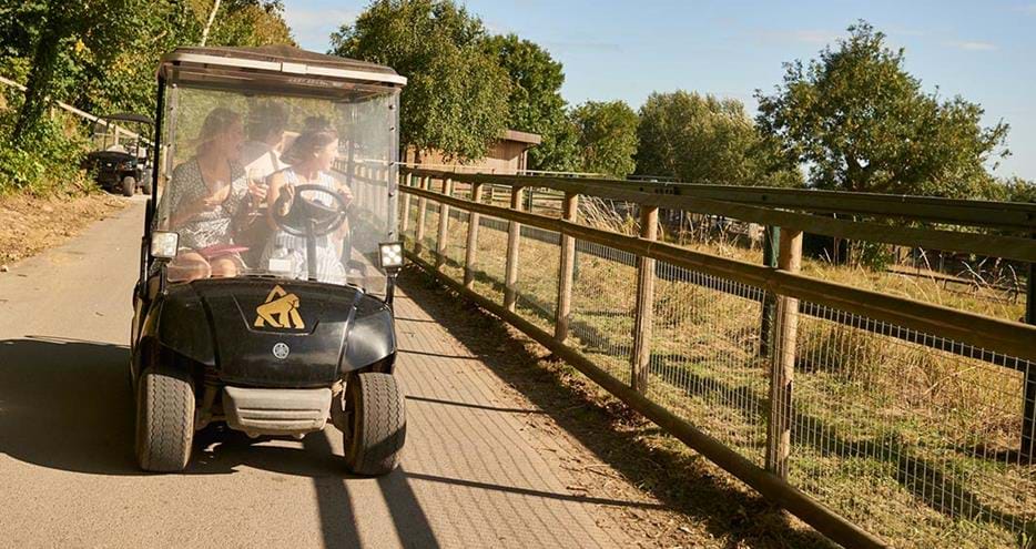 Golf buggy included in your stay at Port Lympne Hotel in Kent
