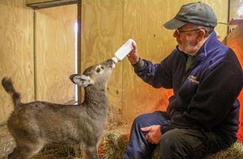 Animal Keeper Internship