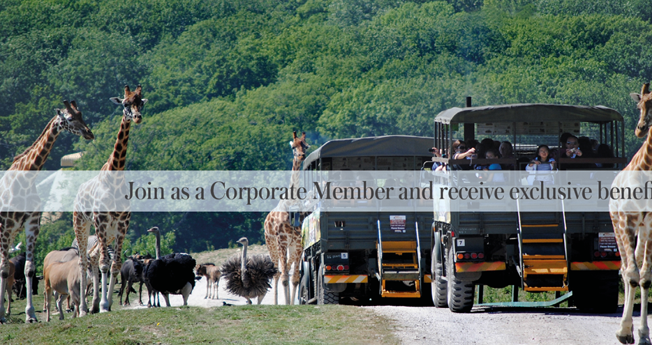 Corporate embers receive exclusive benefits with The Aspinall Foundation