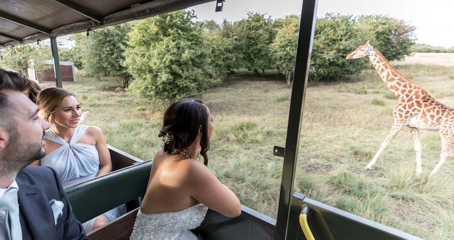 African Safari destination wedding venue in Kent at Port Lympne Hotel & Reserve