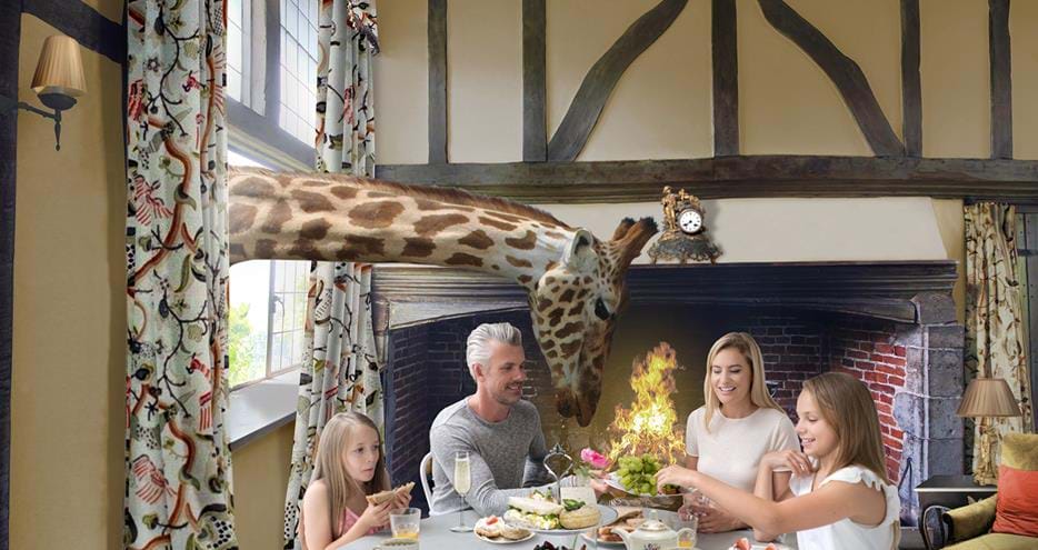 Breakfast with the giraffes at Giraffe Hall in Kent, UK. Artist's impression.